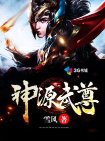 神源武尊txt