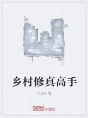 乡村修道士全文阅读
