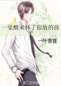 一觉醒来怀了宿敌的孩子 一叶菩提免费