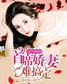 蚀心暖恋首席老公请入怀
