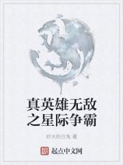英雄无敌视频解说
