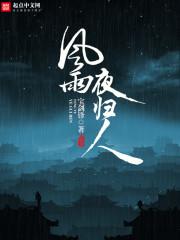 风雨夜归人郝晓庚