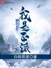 我真的是正派玩家的结局
