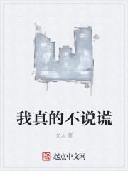 我不说谎诗歌