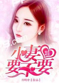 小老婆是什么关系