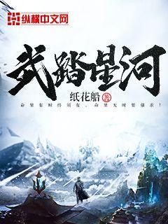 武踏星空