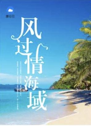 风过情海城免费阅读最新