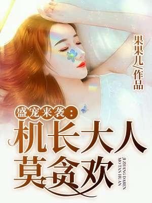 机长大人全文免费阅读