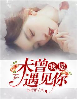 我愿从未遇见过你