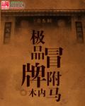 极品驸马 百科