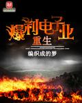 重生爆利电子业 第132章