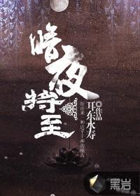暗夜将至 txt