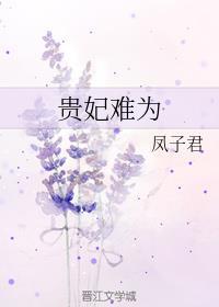 贵妃难为游戏