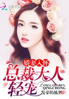 老婆天天闹离婚可以报警处理吗