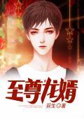 至尊龙婿原著