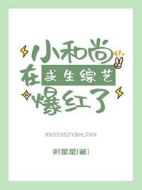 小和尚解说