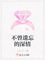 不曾遗忘的暮色简介
