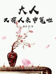 大人冤枉啊游戏怎么样