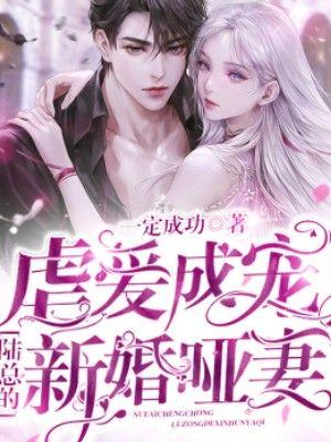 虐爱成宠陆总的新婚哑妻全集免费阅读