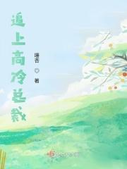 高冷总裁追妻路