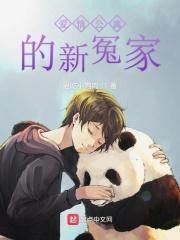 爱情公寓h1～8