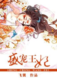 盛宠王妃 - 飞翼