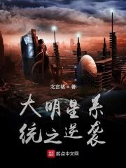 大明星系统txt精校