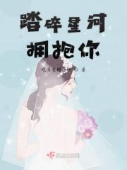 踏碎星河txt