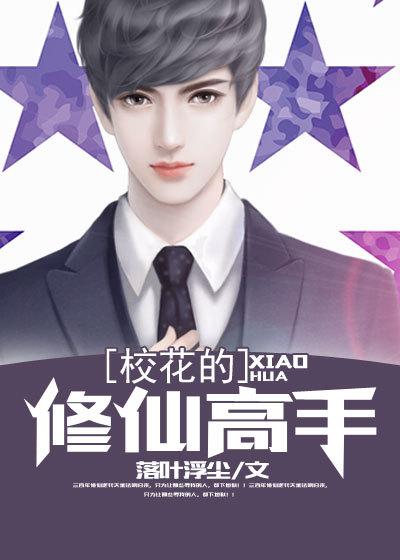 乘龙赘婿完整版