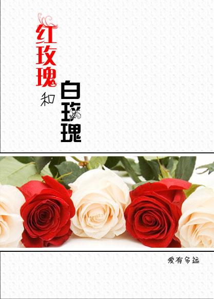 红玫瑰和白玫瑰在线
