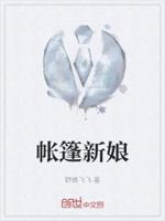 帐篷的帐篷