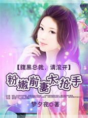 腹黑总裁请妻入怀简汐