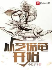 从芝诺龟开始在线