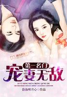 第一宠妻狂婿