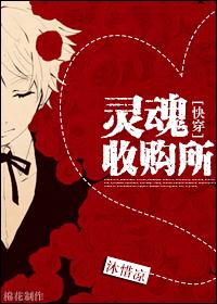 灵魂收藏
