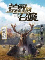 荒野的召唤怎么全屏无边框