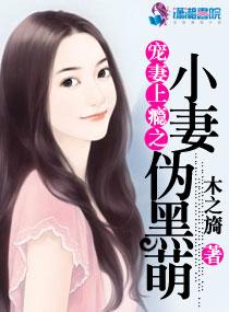 宠妻成瘾污小乾免费阅读