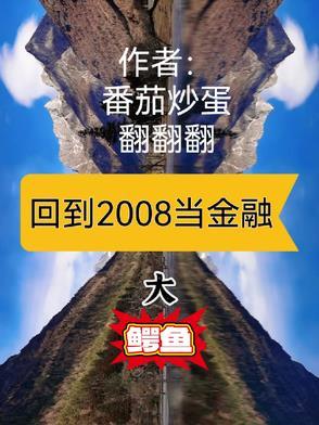 穿越回到2008年