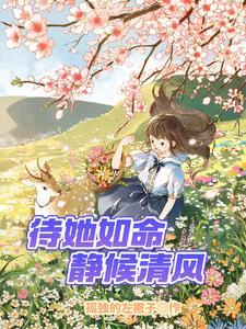电视剧我的傻娘
