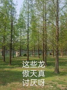 所有龙傲天主角