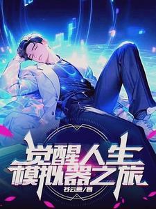 王平觉醒人生模拟器的叫什么
