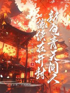 新包青天(全集)