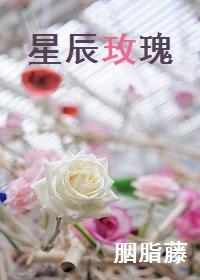 玫瑰有星辰