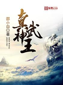 真武神王短剧全集