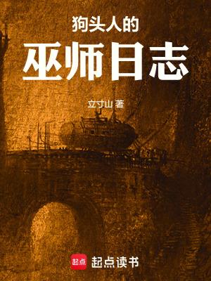 狗头人的巫师日志在线