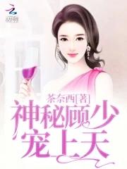 神秘顾爷掌上宝全文阅读免费