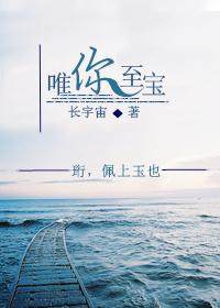 唯你至宝类似的高干文