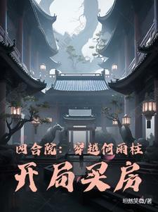 穿越四合院打何雨水