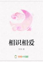 相识相认相知相爱