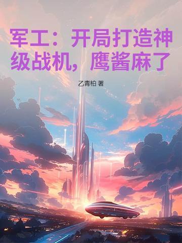 我军工大佬开局一百万把ak4七